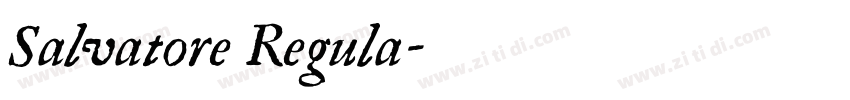 Salvatore Regula字体转换